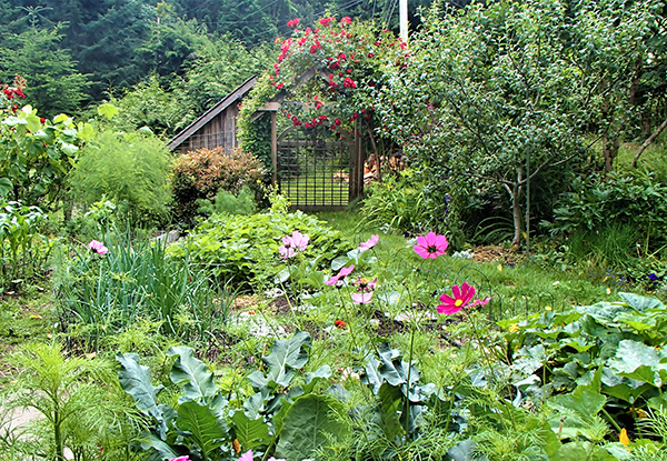 Summer Garden Pacific Northwest